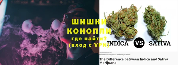 трава Белокуриха