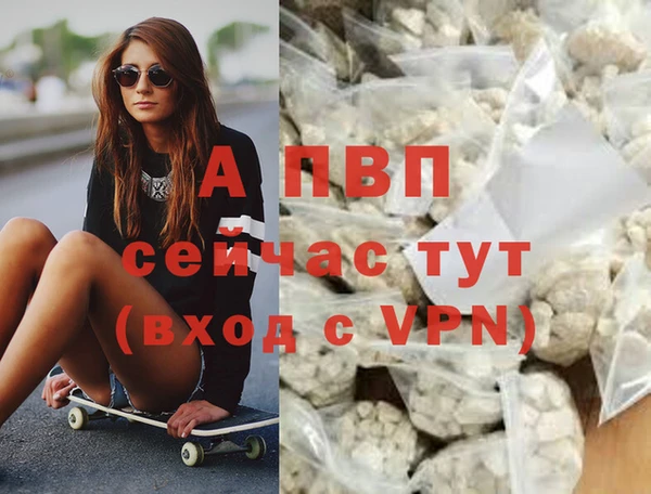 трава Белокуриха