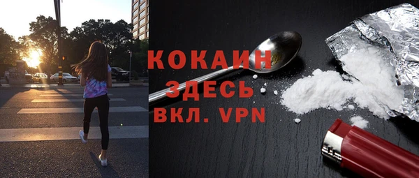 трава Белокуриха